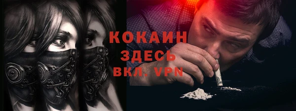 тгк Касимов