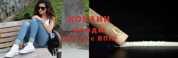 тгк Касимов