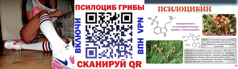 купить наркоту  Хасавюрт  Галлюциногенные грибы MAGIC MUSHROOMS 