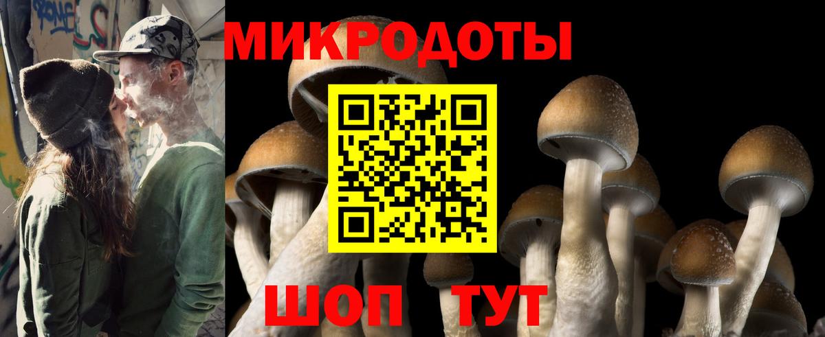 Псилоцибиновые грибы GOLDEN TEACHER  Псилоцибиновые грибы мицелий  Хасавюрт  Вход с VPN 