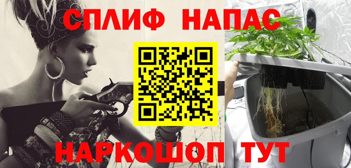 Шишки марихуана OG Kush  Конопля White Widow  Вход с VPN  Хасавюрт  Конопля VHQ 